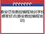 泰安岱岳数控编程培训学校哪家好点(泰安数控编程培训)