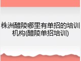 株洲醴陵哪里有单招的培训机构(醴陵单招培训)