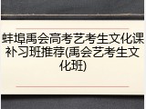 蚌埠禹会高考艺考生文化课补习班推荐(禹会艺考生文化班)