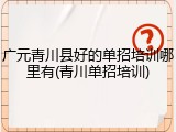 广元青川县好的单招培训哪里有(青川单招培训)