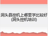 洞头县挖机上哪里学比较好(洞头挖机培训)