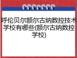呼伦贝尔额尔古纳数控技术学校有哪些(额尔古纳数控学校)