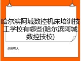 哈尔滨阿城数控机床培训技工学校有哪些(哈尔滨阿城数控技校)