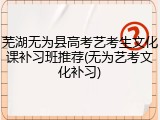 芜湖无为县高考艺考生文化课补习班推荐(无为艺考文化补习)