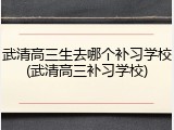 武清高三生去哪个补习学校(武清高三补习学校)