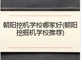 朝阳挖机学校哪家好(朝阳挖掘机学校推荐)