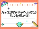 龙安挖机培训学校有哪些(龙安挖机培训)