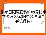 张家口阳原县数控模具技术学校怎么样(阳原数控模具学校评价)