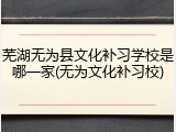 芜湖无为县文化补习学校是哪一家(无为文化补习校)