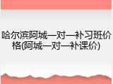 哈尔滨阿城一对一补习班价格(阿城一对一补课价)