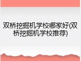 双桥挖掘机学校哪家好(双桥挖掘机学校推荐)