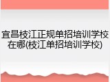 宜昌枝江正规单招培训学校在哪(枝江单招培训学校)