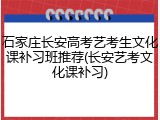 石家庄长安高考艺考生文化课补习班推荐(长安艺考文化课补习)