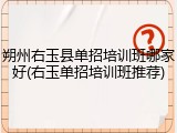 朔州右玉县单招培训班哪家好(右玉单招培训班推荐)