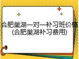 合肥巢湖一对一补习班价格(合肥巢湖补习费用)