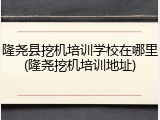 隆尧县挖机培训学校在哪里(隆尧挖机培训地址)