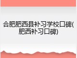 合肥肥西县补习学校口碑(肥西补习口碑)