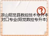 凉山昭觉县数控技术专升本对口专业(昭觉数控专升本)