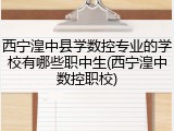 西宁湟中县学数控专业的学校有哪些职中生(西宁湟中数控职校)