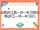 合肥庐江县一对一补习班价格(庐江一对一补习价)