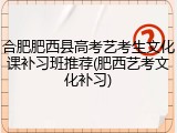 合肥肥西县高考艺考生文化课补习班推荐(肥西艺考文化补习)