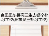 合肥肥东县高三生去哪个补习学校(肥东高三补习学校)
