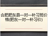 合肥肥东县一对一补习班价格(肥东一对一补习价)