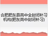 合肥肥东县高中全封闭补习机构(肥东高中封闭补习)
