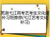 芜湖弋江高考艺考生文化课补习班推荐(弋江艺考文化补习)