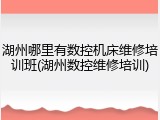 湖州哪里有数控机床维修培训班(湖州数控维修培训)