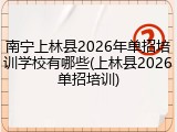 南宁上林县2026年单招培训学校有哪些(上林县2026单招培训)