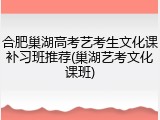 合肥巢湖高考艺考生文化课补习班推荐(巢湖艺考文化课班)