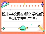 松北学挖机在哪个学校好(松北学挖机学校)