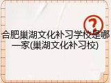 合肥巢湖文化补习学校是哪一家(巢湖文化补习校)