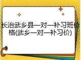 长治武乡县一对一补习班价格(武乡一对一补习价)
