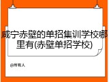 咸宁赤壁的单招集训学校哪里有(赤壁单招学校)