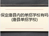 保定唐县内的单招学校有吗(唐县单招学校)