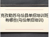 克孜勒苏乌恰县单招培训班有哪些(乌恰单招培训)