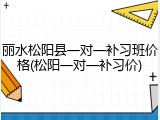 丽水松阳县一对一补习班价格(松阳一对一补习价)