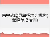 南宁武鸣县单招培训机构(武鸣单招培训)