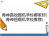 青神县挖掘机学校哪家好(青神挖掘机学校推荐)