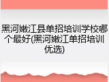 黑河嫩江县单招培训学校哪个最好(黑河嫩江单招培训优选)