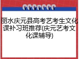 丽水庆元县高考艺考生文化课补习班推荐(庆元艺考文化课辅导)