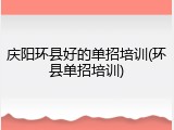 庆阳环县好的单招培训(环县单招培训)