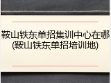 鞍山铁东单招集训中心在哪(鞍山铁东单招培训地)