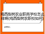 鸡西梨树农业职高学校怎么样啊(鸡西梨树农职校如何)