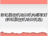 新和县挖机培训机构哪家好(新和县挖机培训优选)