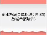 衡水故城县单招培训机构(故城单招培训)