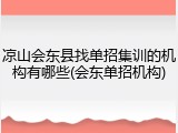 凉山会东县找单招集训的机构有哪些(会东单招机构)