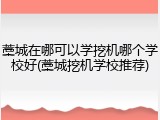 藁城在哪可以学挖机哪个学校好(藁城挖机学校推荐)